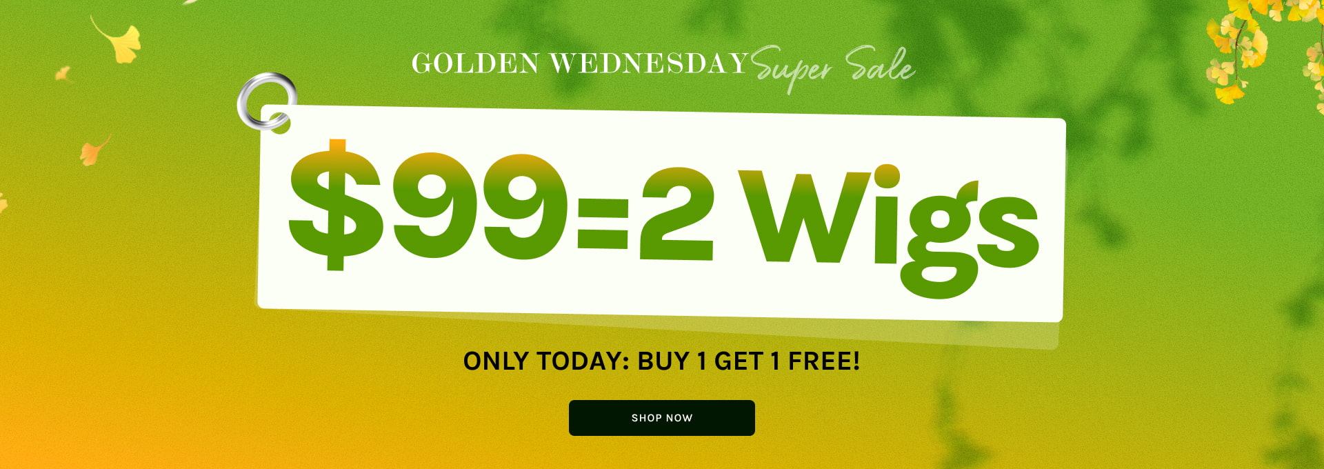 20251025 $99=2 Wigs PC1